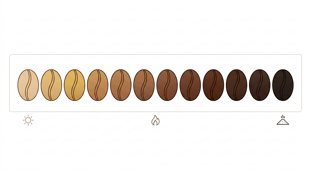 浅煎りから深煎りまでのコーヒー豆の焙煎度合いと色の変化